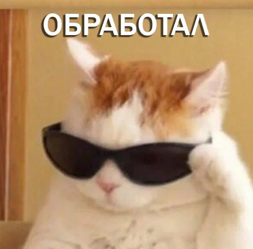 Sticker RedBull-Team Stickers Pack - 10