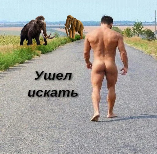 Sticker RedBull-Team Stickers Pack - 9