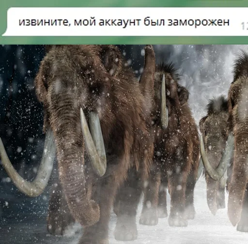 Sticker RedBull-Team Stickers Pack - 8