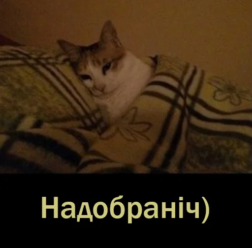 Sticker RedBull-Team Stickers Pack - 0