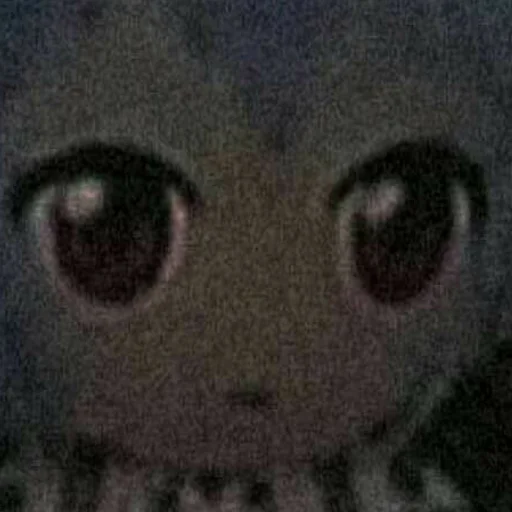 кошка мультфильм взор