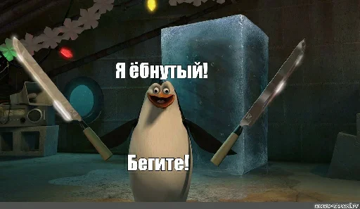 penguin animal cartoon