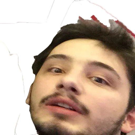 Sticker Renelasm - 1