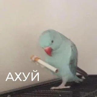 Стикер ПРОДАКШН - 4