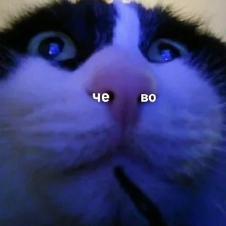 Стикер ПРОДАКШН - 5