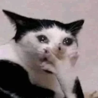 Стикер ПРОДАКШН - 10