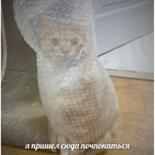 Sticker Flirting - 8