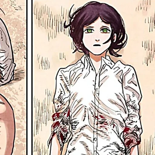 sketch drawing illustration