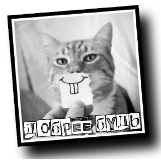 Sticker 👣 🅼🅸🆃🆈🅰️🅸 👣 - 6