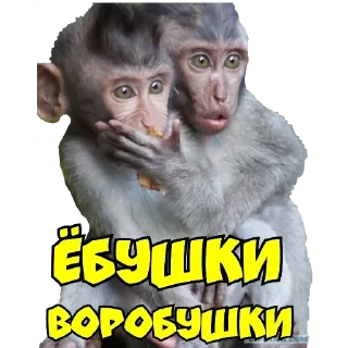 Sticker Rfn_Fwsqve - 7