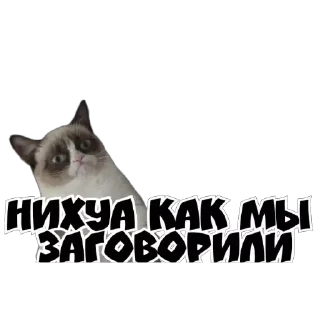 Sticker Rfn_Fwsqve - 9