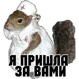 Sticker Rfn_Fwsqve - 8