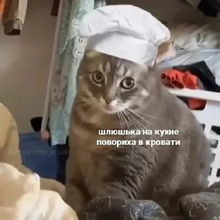 Стикер Ri_pac10 - 7