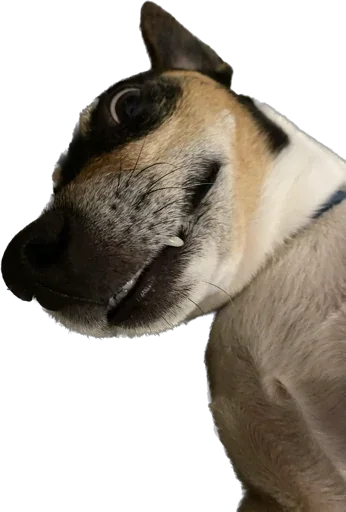 Стикер Rich_chilchirochik - 1