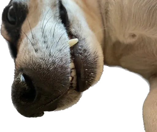 Sticker Rich_chilchirochik - 1