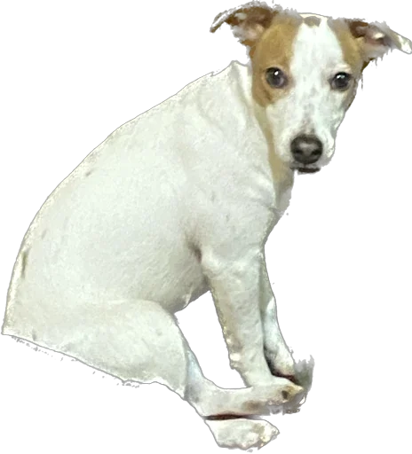 Стикер Rich_chilchirochik - 1