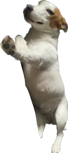 Стикер Rich_chilchirochik - 1