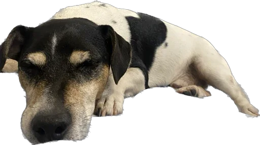 Стикер Rich_chilchirochik - 1