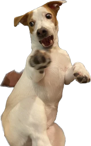 Sticker Rich_chilchirochik - 1