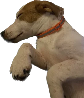 Sticker Ричик - 2