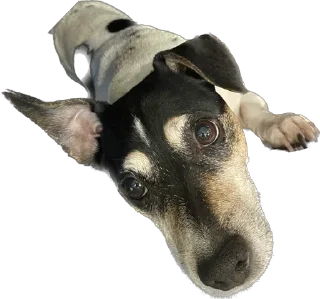 Sticker Ричик - 6