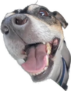 Sticker Ричик - 9