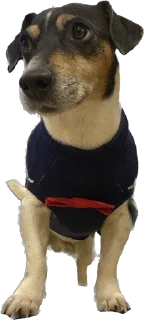 Sticker Ричик - 10