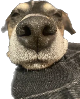 Sticker Ричик - 11