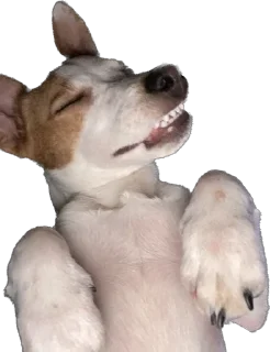 Sticker Ричик - 1