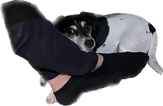 Sticker Ричик - 4