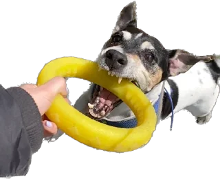 Sticker Ричик - 5