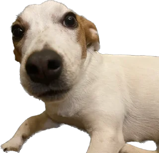 Sticker Ричик - 7