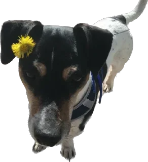 Sticker Ричик - 8