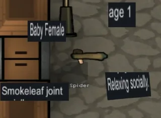 text screenshot design