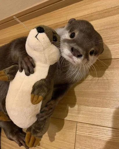 indoor stuffed toy
