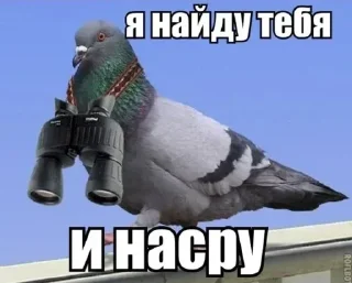 Стикер Г. В. К. З. - 1