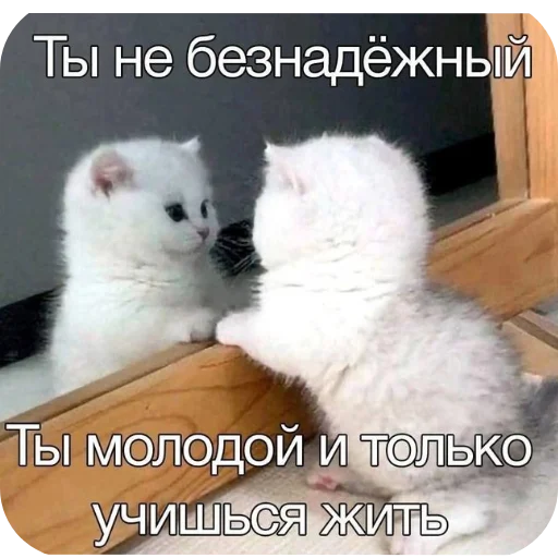 Стикер Rizii4 - 1