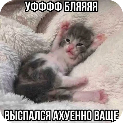 Стикер Rizii4 - 1