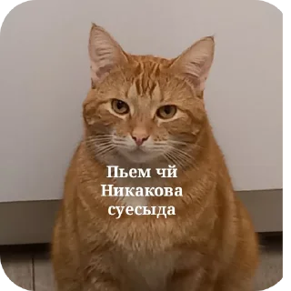 Стикер Rizii - 8