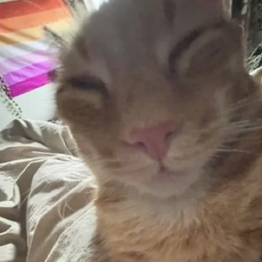 Стикер Rizikoti - 1