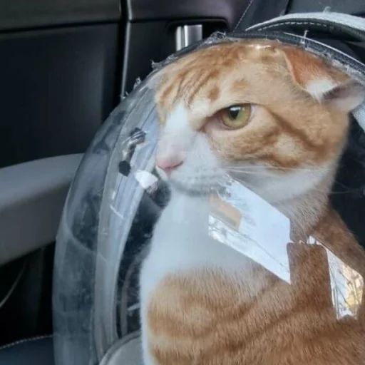 Sticker Rizikoti - 1