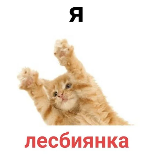 Sticker Rizikoti - 1