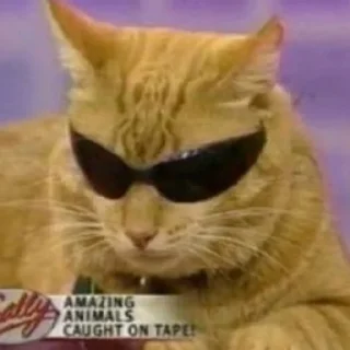 Стикер Рыжи - 8