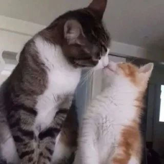 Стикер Рыжи - 1