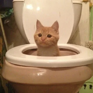 Стикер Рыжи - 7