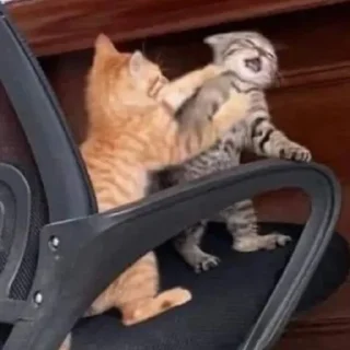 Стикер Рыжи - 9