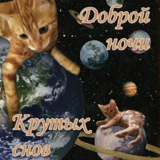 Стикер Рыжи - 4