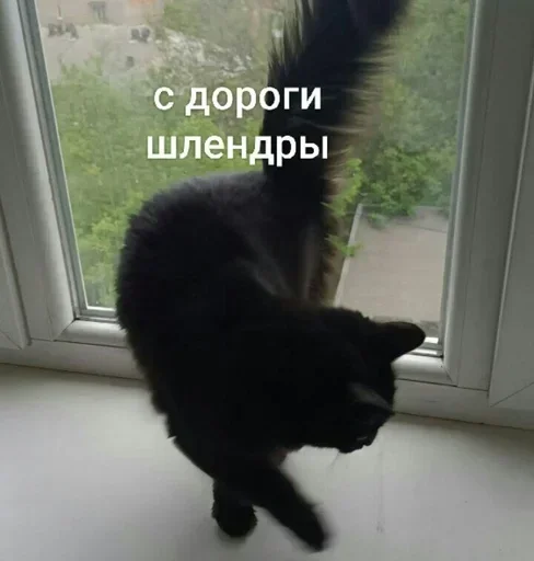 Стикер RjDNDMtQ_by_stickers_stealer_bot - 1