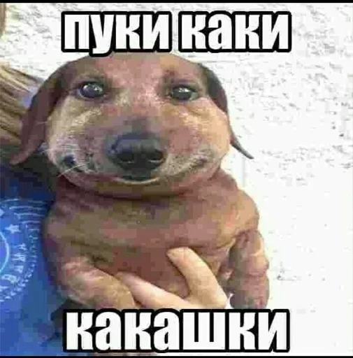 Стикер RjDNDMtQ_by_stickers_stealer_bot - 1