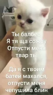 Стикер Создано в @sozdsti_bot - 10